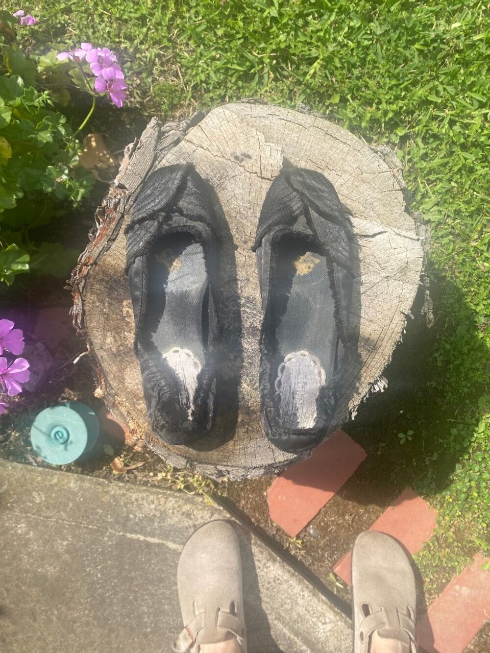 Seychelles Women's 9.5 Black Satiny Ballerina Shoes - Picture 7 of 10